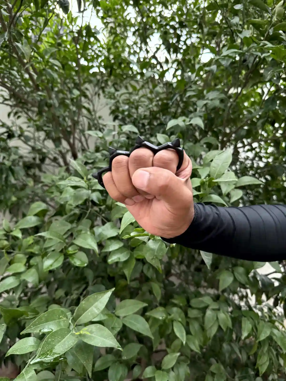titan knuckle titan knuckle