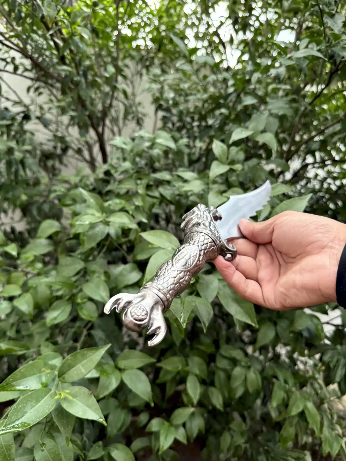 dragon dagger dragon dagger