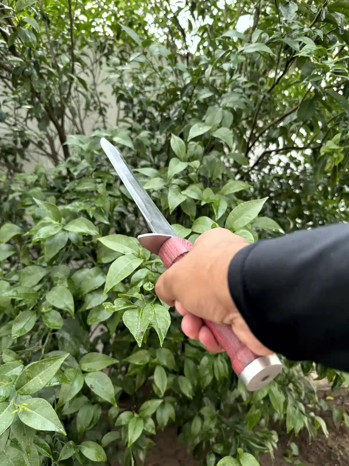 straight double edged dagger straight double edged dagger