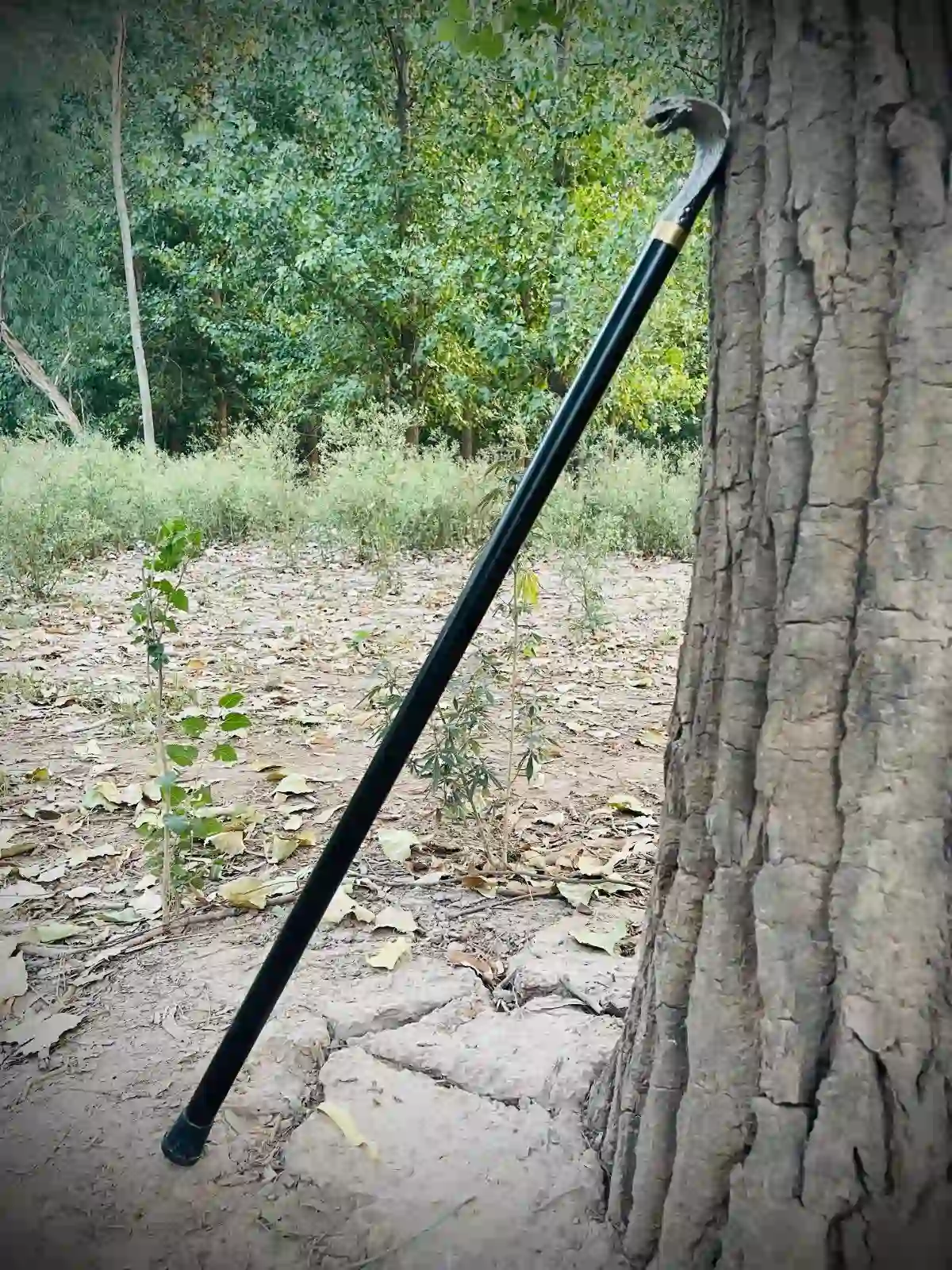 premium handcrafted cobra stick walking cane (art. no. stk 006) premium handcrafted cobra stick walking cane (art. no. stk 006)